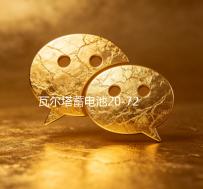 瓦尔塔蓄电池20-72适配宝马X1标致508全顺途观迈腾帕萨特汽车电瓶