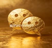 魏派WEYVV5VV7VV6仪表盘中控台避光垫改装配件汽车内装饰防晒用品